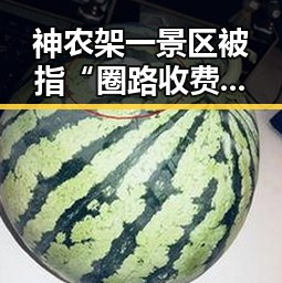 神农架一景区被指“圈路收费”再遇官方回应,南昌一网红泰餐厅“泰铺”疑引发多人食物中毒形成鲜明对比