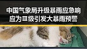 中国气象局升级暴雨应急响应为Ⅲ级引发大暴雨预警